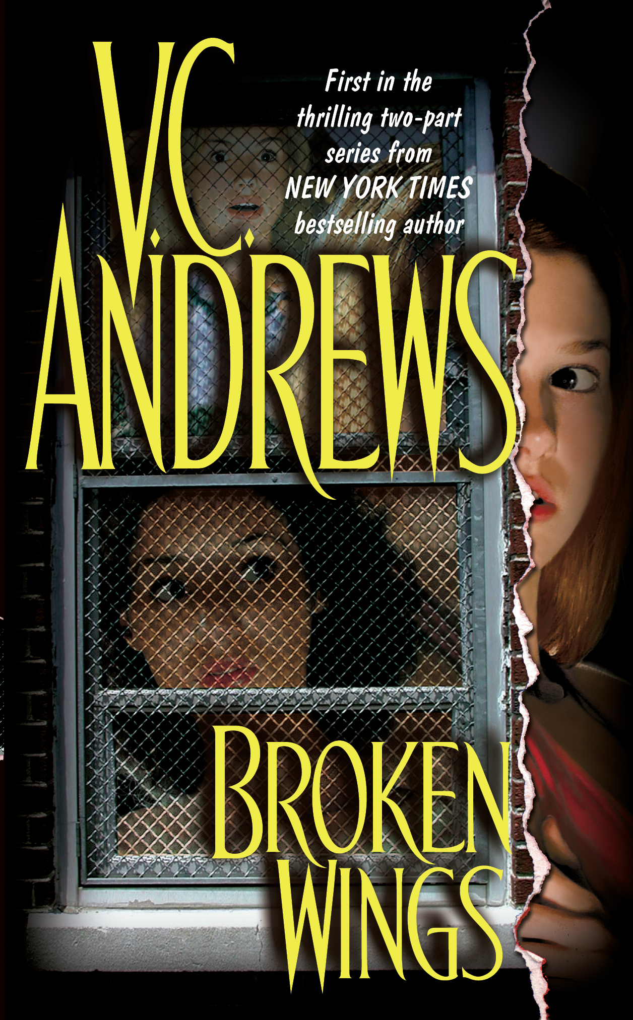 vc andrews ebook collection